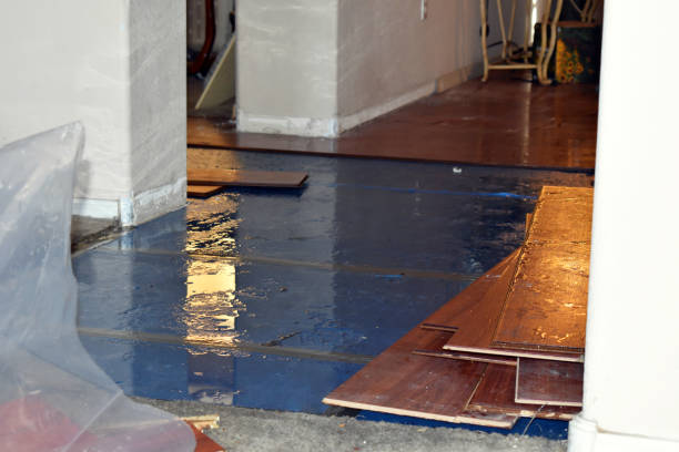 Professional Burst Pipe Cleanup technician working in Island Lake, IL